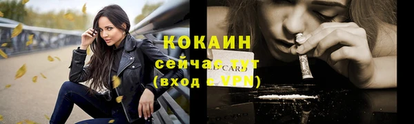 ECSTASY Армянск