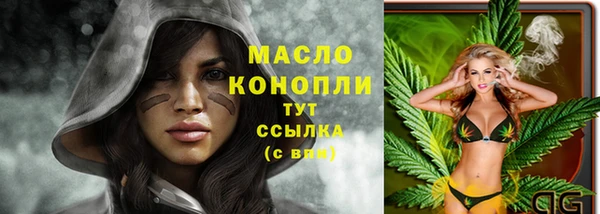 твердый Арсеньев