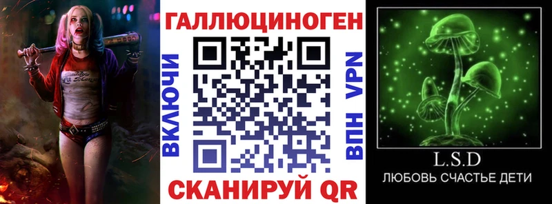 блэк спрут зеркало  купить   Таруса  Псилоцибиновые грибы GOLDEN TEACHER 